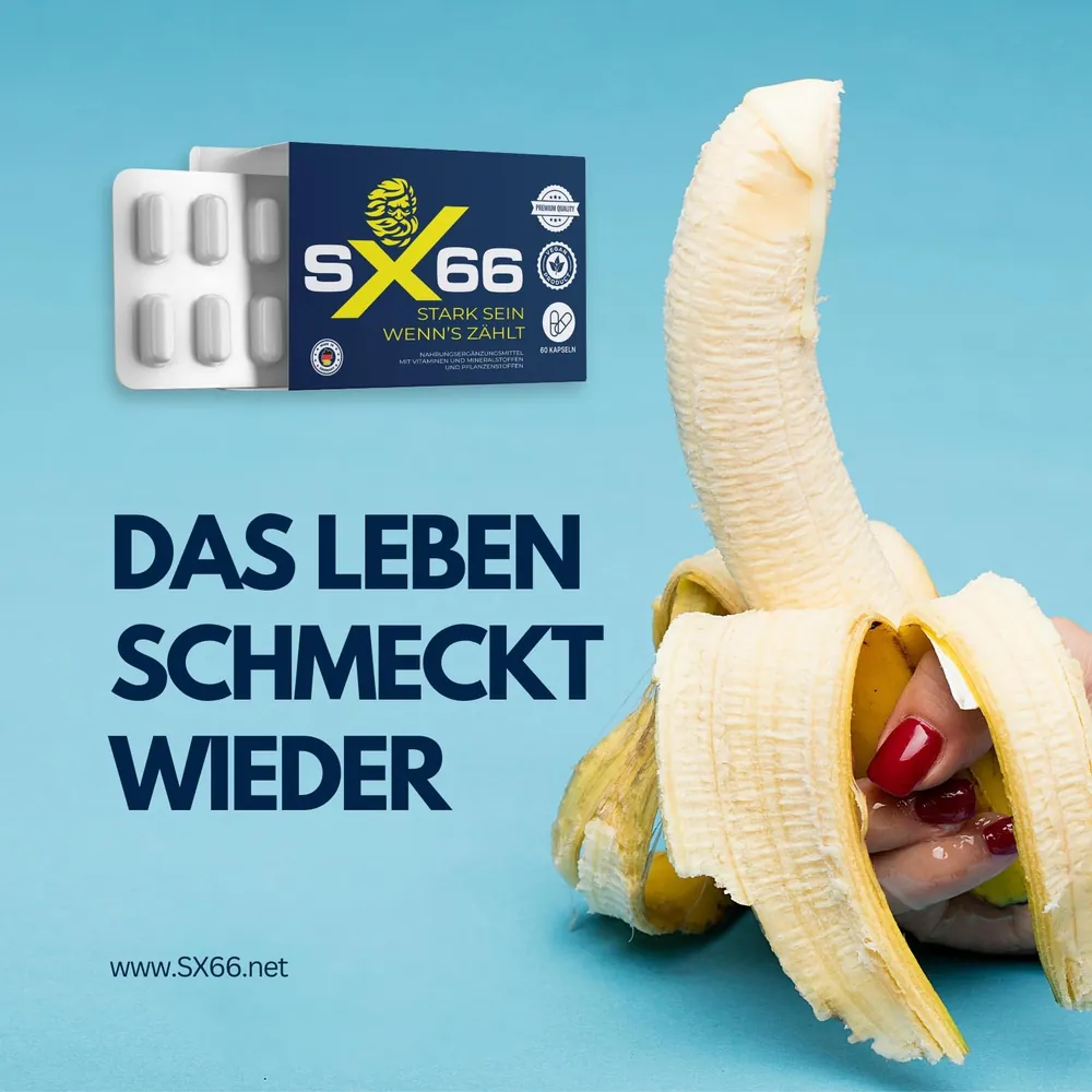 SX66 – das Leben schmeckt wieder