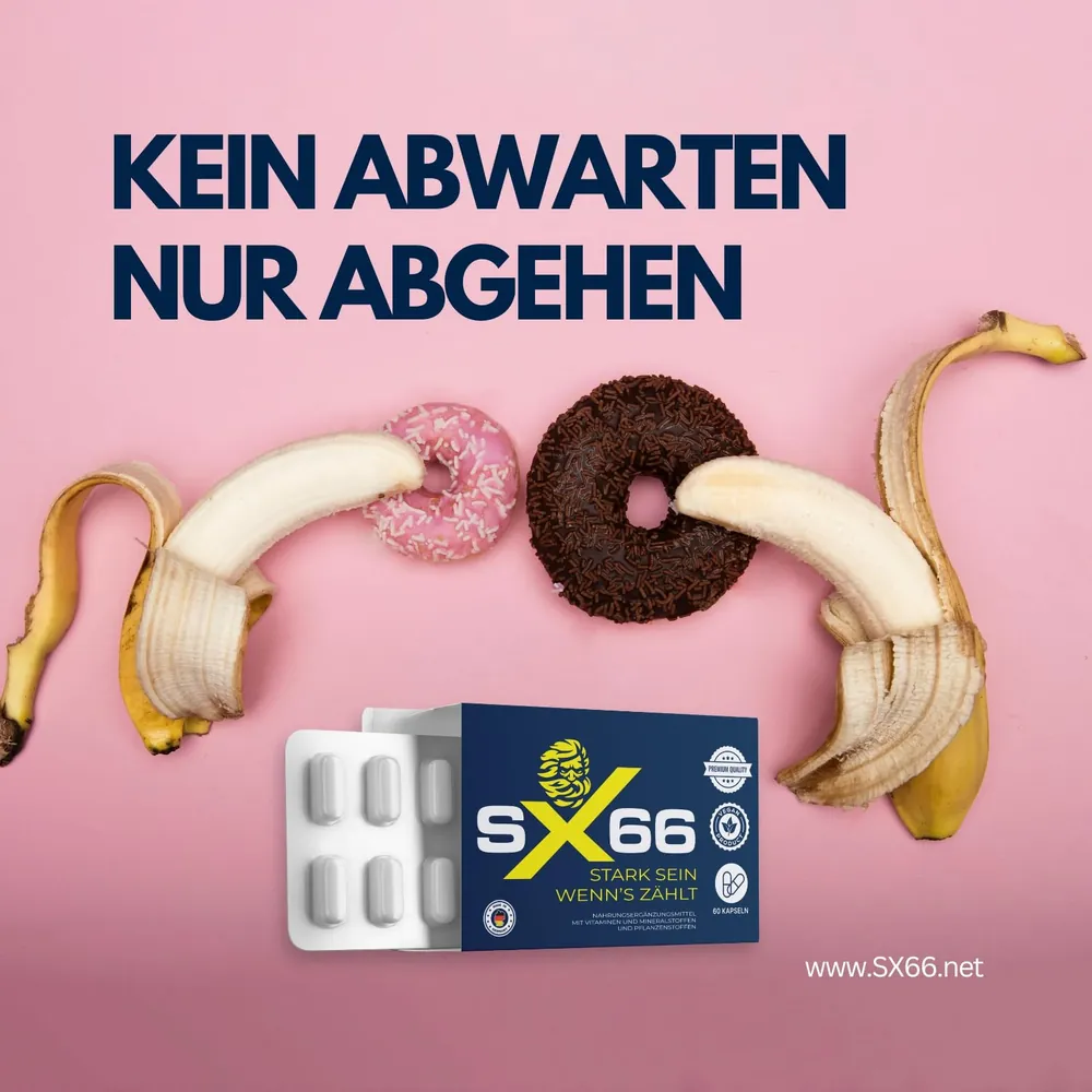 SX66 – kein Abwarten, nur abgehen